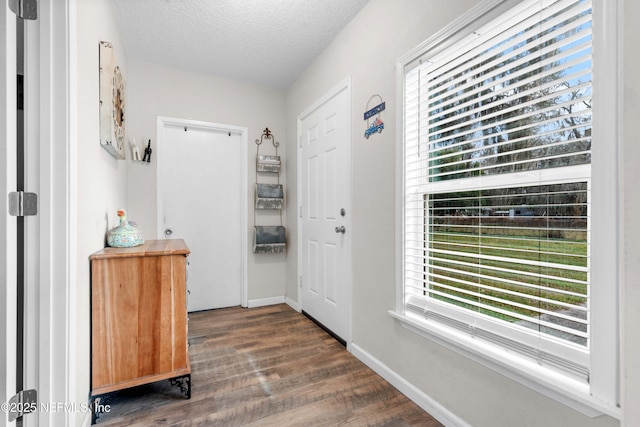 doorway with dark hardwood / wood-style floors, a wealth of natural light, and a textured ceiling