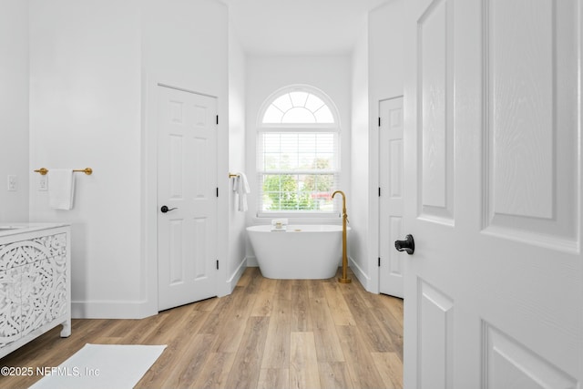 bathroom with wood-type flooring and a bathing tub