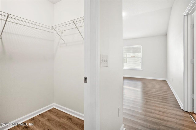 walk in closet featuring hardwood / wood-style flooring