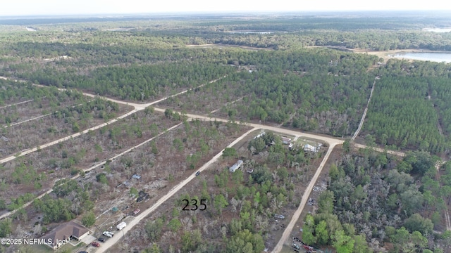 235 Michigan Dr, Hawthorne FL, 32640 land for sale