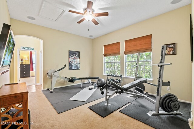148 La Mesa Dr, Saint Augustine, FL 32095 - photo 42