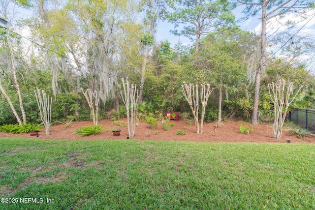 148 La Mesa Dr, Saint Augustine, FL 32095 - photo 59