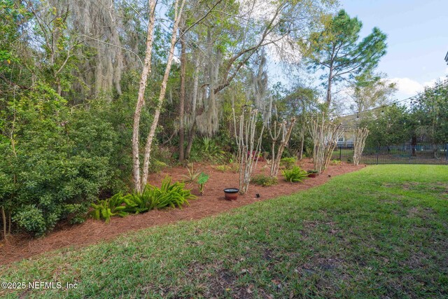 148 La Mesa Dr, Saint Augustine, FL 32095 - photo 60