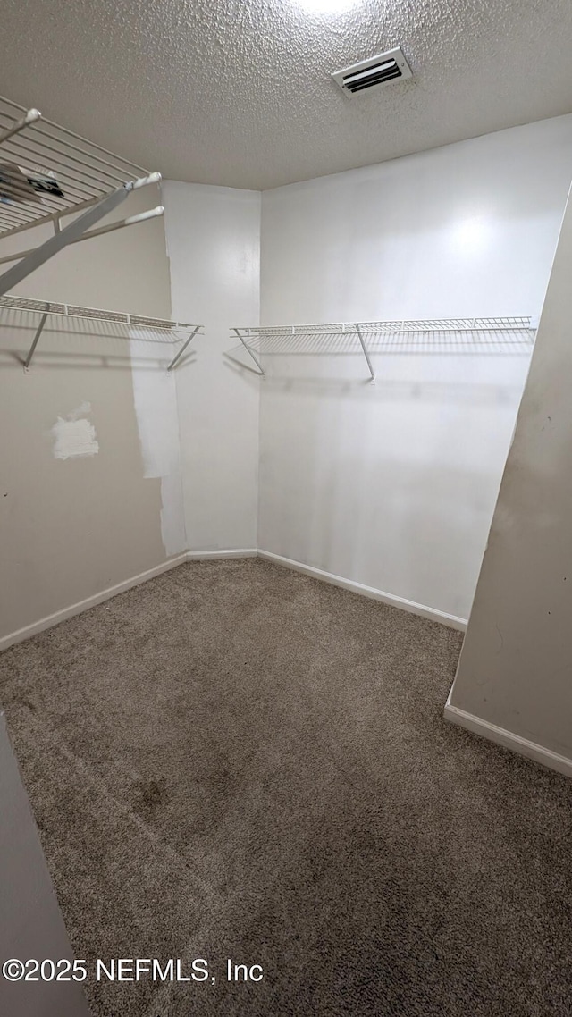 spacious closet with carpet floors