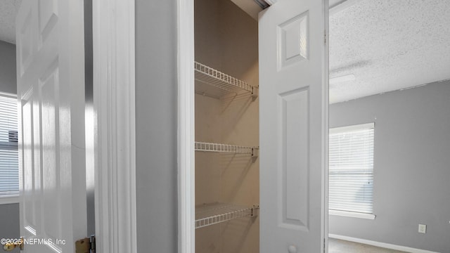 view of closet