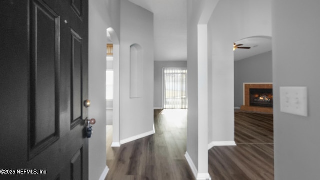 foyer entrance featuring dark wood-type flooring