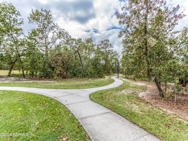 view of property's community with a yard