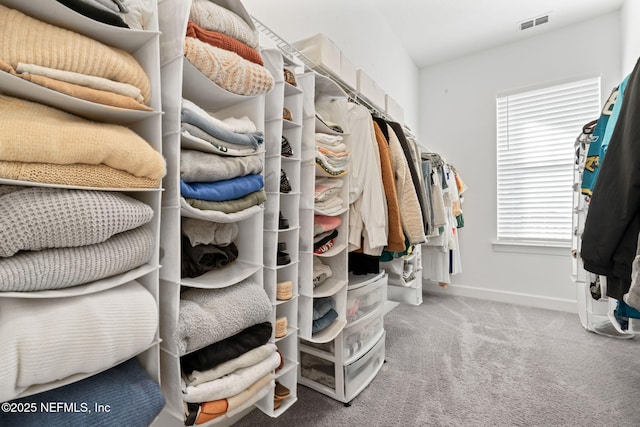 spacious closet featuring carpet flooring