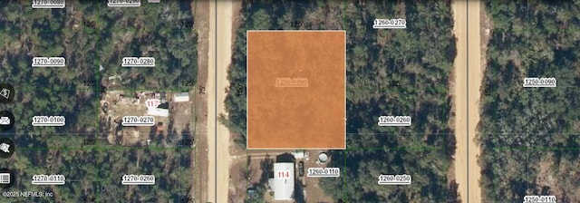 000 Brett Ave, Interlachen FL, 32148 land for sale