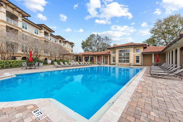 pool featuring a patio area and a residential view