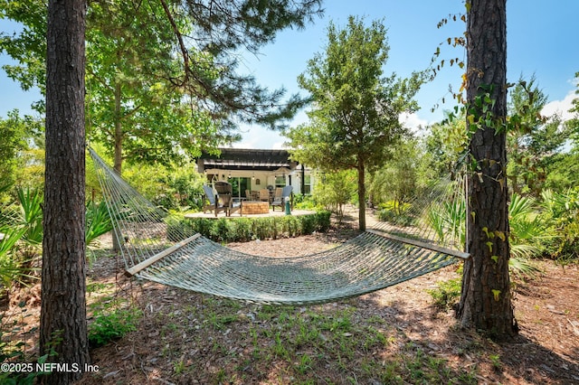 view of yard with a patio area