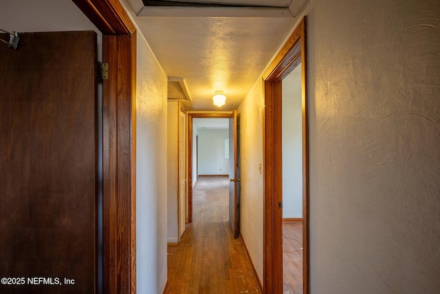 hallway featuring wood-type flooring