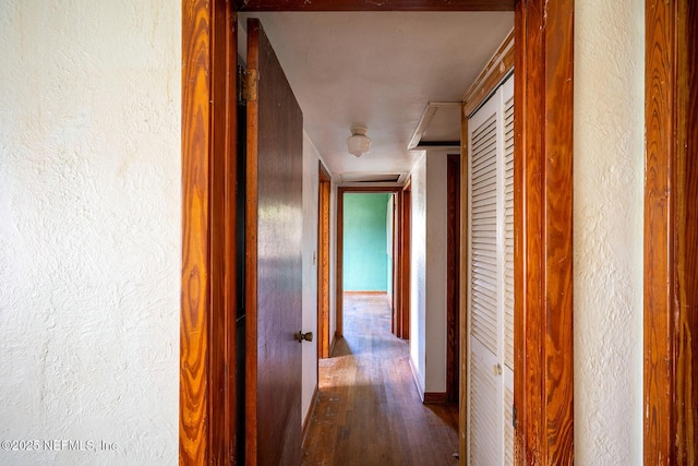 hallway featuring dark hardwood / wood-style flooring