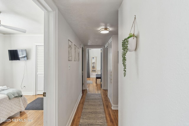 758 Acosta St, Jacksonville, FL 32204 - corridor with wood-type flooring and a textured ceiling