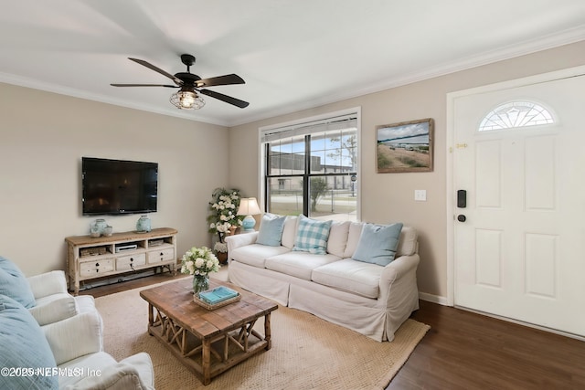 living room featuring dark wood-type flooring, ceiling fan, and ornamental molding