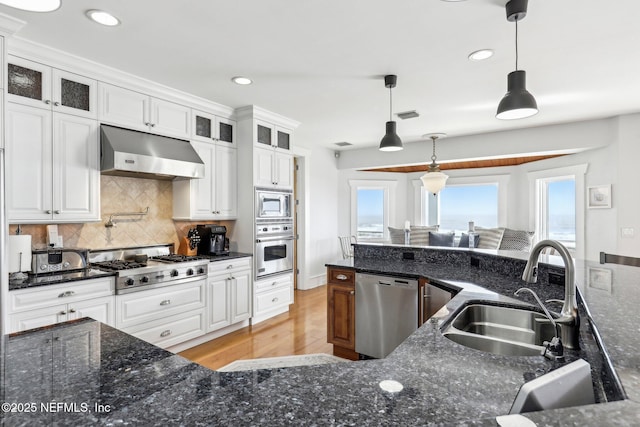 kitchen with appliances with stainless steel finishes, a sink, light wood-type flooring, under cabinet range hood, and backsplash