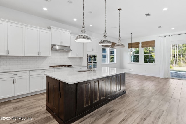 kitchen with visible vents, decorative backsplash, white cabinets, a sink, and under cabinet range hood