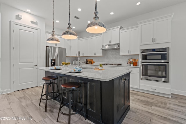 21 Mollusk Rd, Saint Johns, FL 32259 - kitchen with recessed lighting, appliances with stainless steel finishes, under cabinet range hood, and visible vents