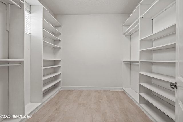 21 Mollusk Rd, Saint Johns, FL 32259 - spacious closet featuring light wood-style floors