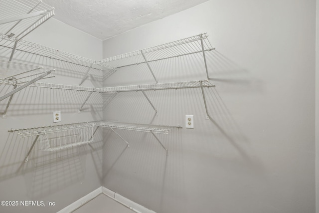 view of spacious closet