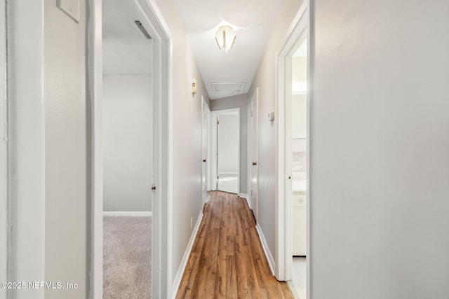 hallway featuring light hardwood / wood-style floors