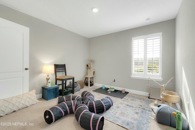 sitting room with carpet