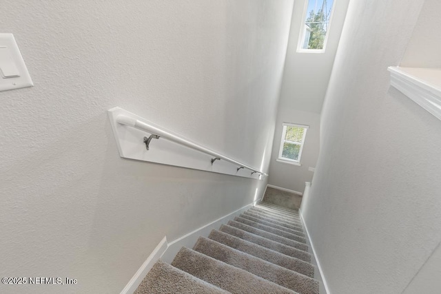 staircase with plenty of natural light and carpet flooring