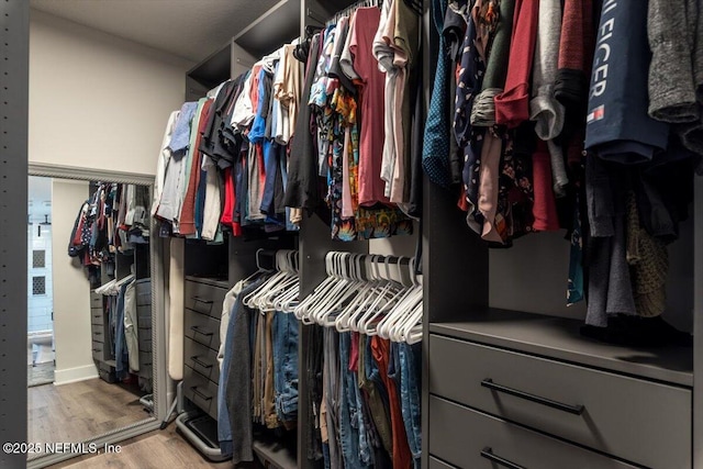 spacious closet with light wood-type flooring