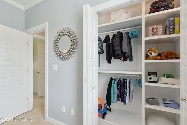 view of closet