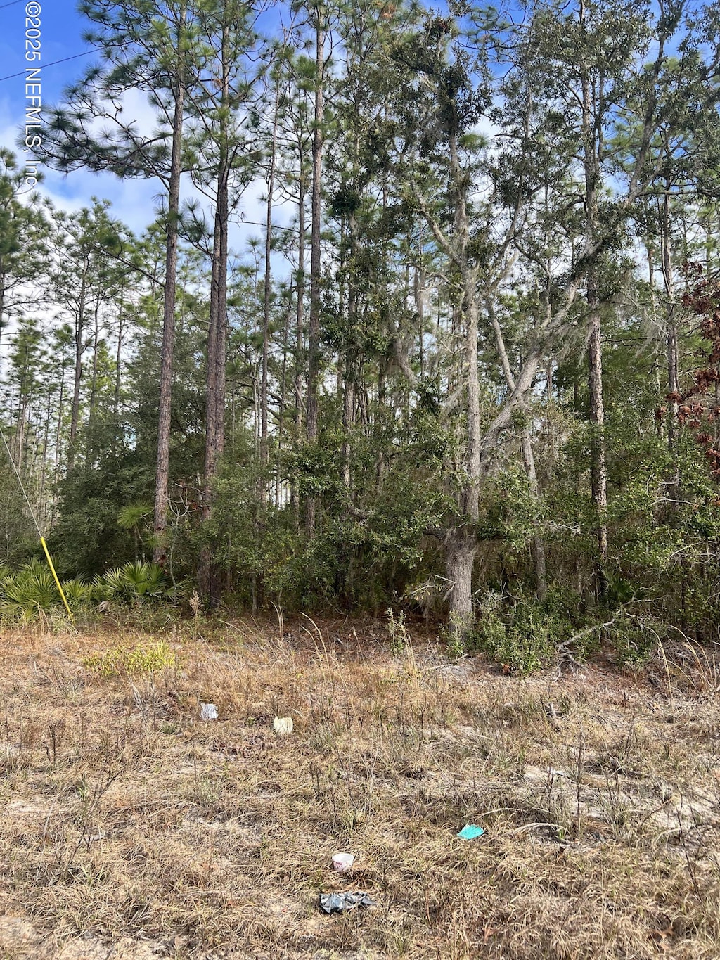 5710 Campo Dr, Keystone Heights, FL 32656 - photo 1