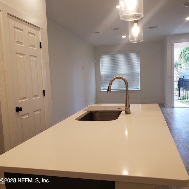11107 Quasar Ct, Jacksonville, FL 32256 - kitchen featuring wood finished floors, a sink, a center island with sink, and light countertops