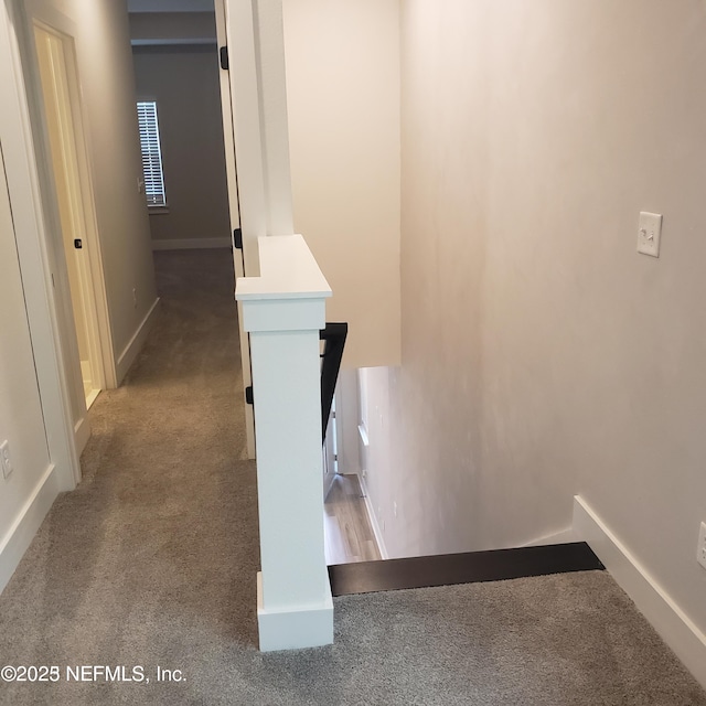 11107 Quasar Ct, Jacksonville, FL 32256 - staircase with baseboards and carpet flooring
