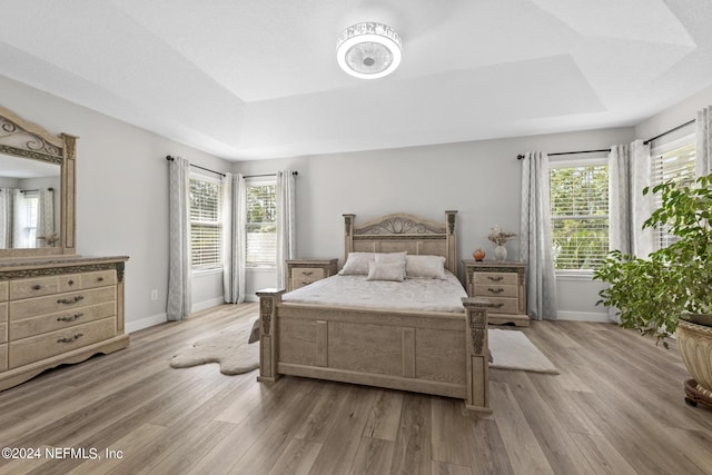 bedroom featuring multiple windows, a raised ceiling, and light wood-type flooring