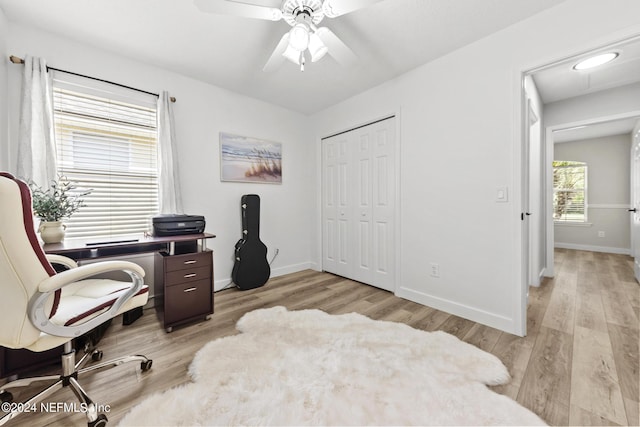 office featuring light hardwood / wood-style flooring and ceiling fan