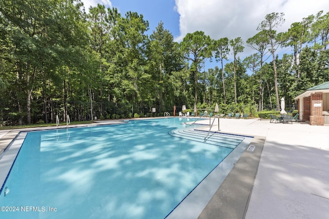 view of pool featuring a patio