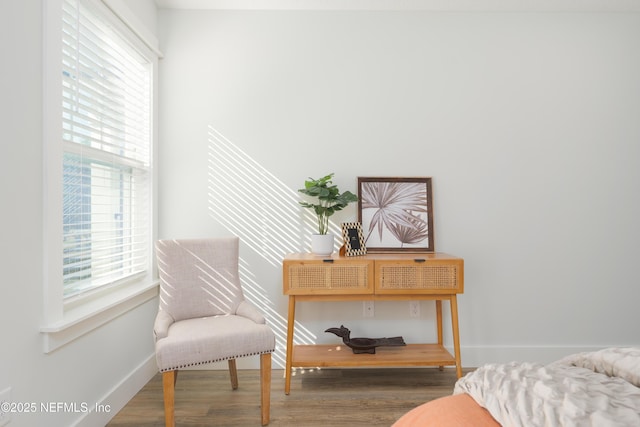 living area featuring hardwood / wood-style floors