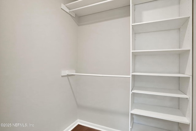 walk in closet with wood-type flooring