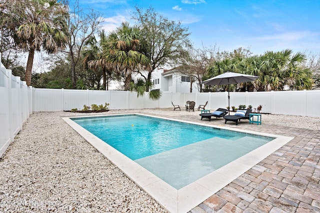 view of pool with a patio area, a fenced backyard, and a fenced in pool