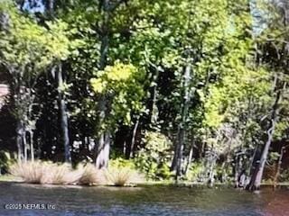 4317 Ortega Farms Cir, Jacksonville, FL 32210 - photo 2