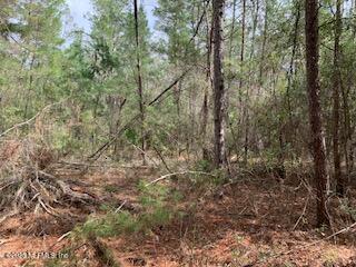 00 SE 4th Ave, Interlachen FL, 32148 land for sale