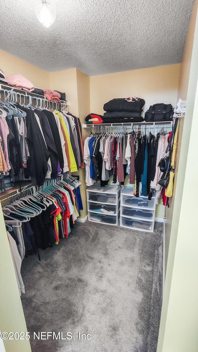 spacious closet with carpet