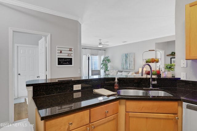 10961 Burnt Mill Rd Unit 425, Jacksonville, FL 32256 - kitchen featuring dark stone countertops, sink, stainless steel dishwasher, and ceiling fan