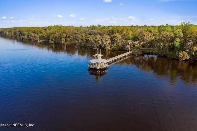 property view of water with a boat dock