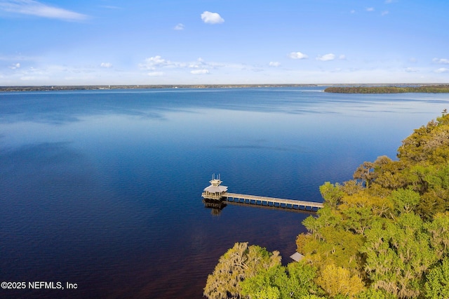 view of water feature with a dock