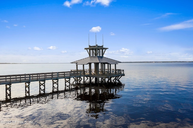 dock area with a water view