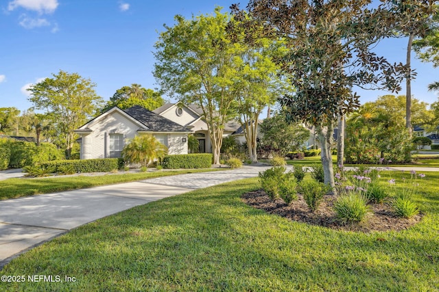 view of front facade with driveway, stucco siding, and a front lawn