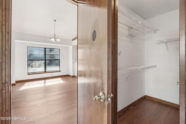 10800 Old St Augustine Rd Unit 301, Jacksonville, FL 32257 - walk in closet with hardwood / wood-style flooring