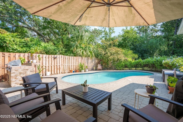 view of swimming pool featuring area for grilling and a patio area