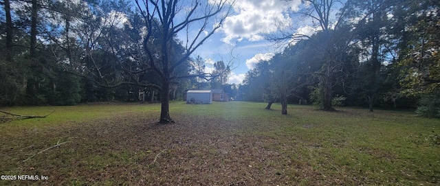 10593 Joes Rd, Jacksonville, FL 32221 - photo 4
