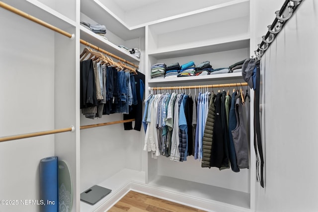 spacious closet featuring hardwood / wood-style flooring